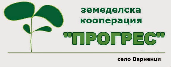 Производство на зърнени и маслодайни култури в с. Варненци | ЗК Прогрес