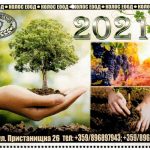 Почистване на терени в Лом | Колос ЕООД