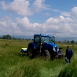 Производство на земеделска продукция в Драгоман | Агробурел ЕООД