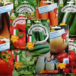 Торове и сортови семена – Агробио България ООД