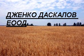 Зърнепроизводство и животновъдство с. Болярово | Дженко Даскалов ЕООД