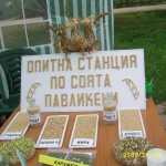 Опитна Станция по Соя – Павликени – Наука, традиции и качество в едно