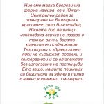 Производство на лешници в с. Виноградец | Лешникова ферма
