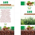 Производство на лешници в с. Виноградец | Лешникова ферма