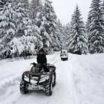 Лов и туризъм в Родопите | Ловно стопанство Тъмраш