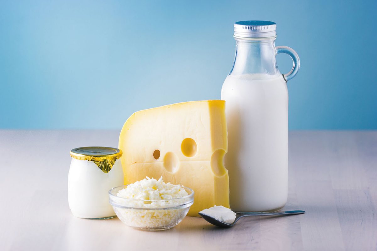 Производство на млечни продукти с. Липник, Разград | ИМДО ООД