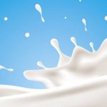 Производство на млечни продукти с марката Далия | Еделвайс 77 ЕООД