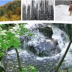 Лов и туризъм в Родопите | Ловно стопанство Тъмраш