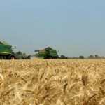Производство на селскостопанска продукция Върбица | ЧПТК Зора